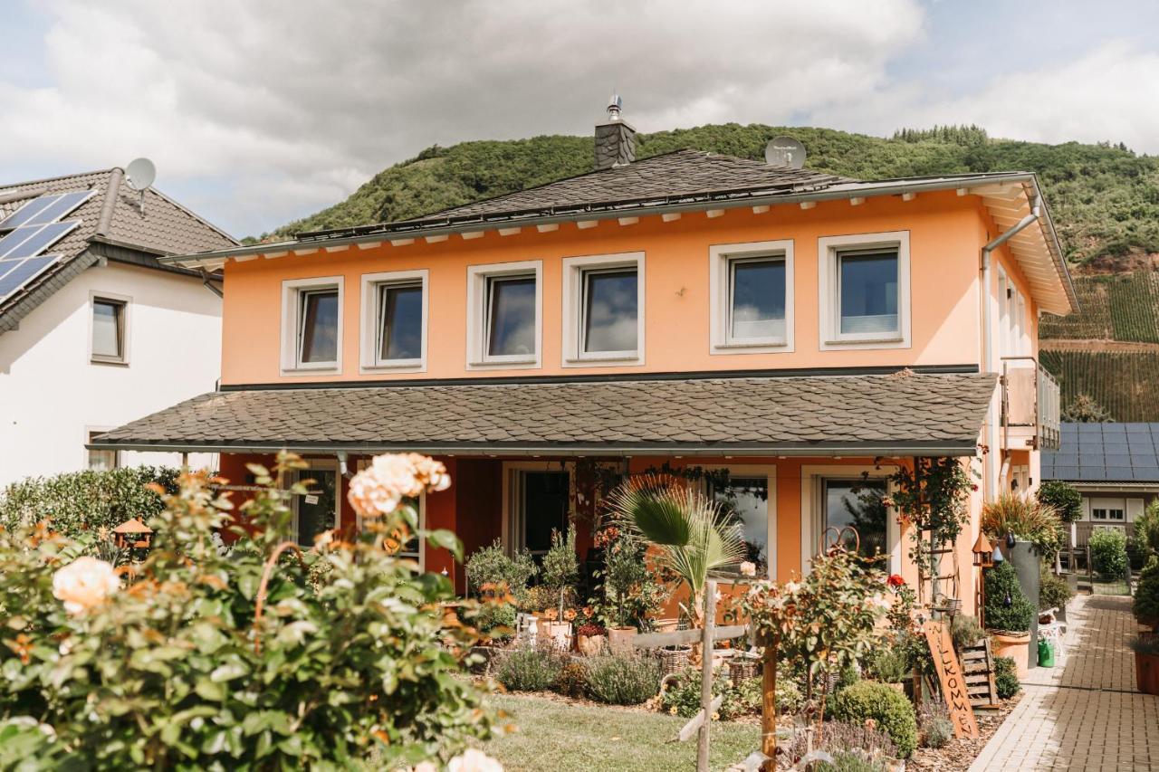 Wein- Und Gaestehaus Schwaab&Sohn Erden Esterno foto