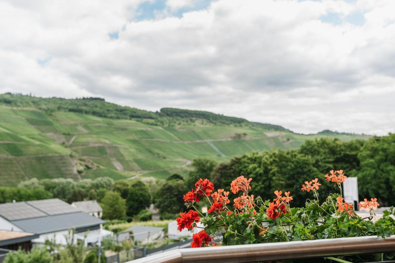 Wein- Und Gaestehaus Schwaab&Sohn Erden Esterno foto