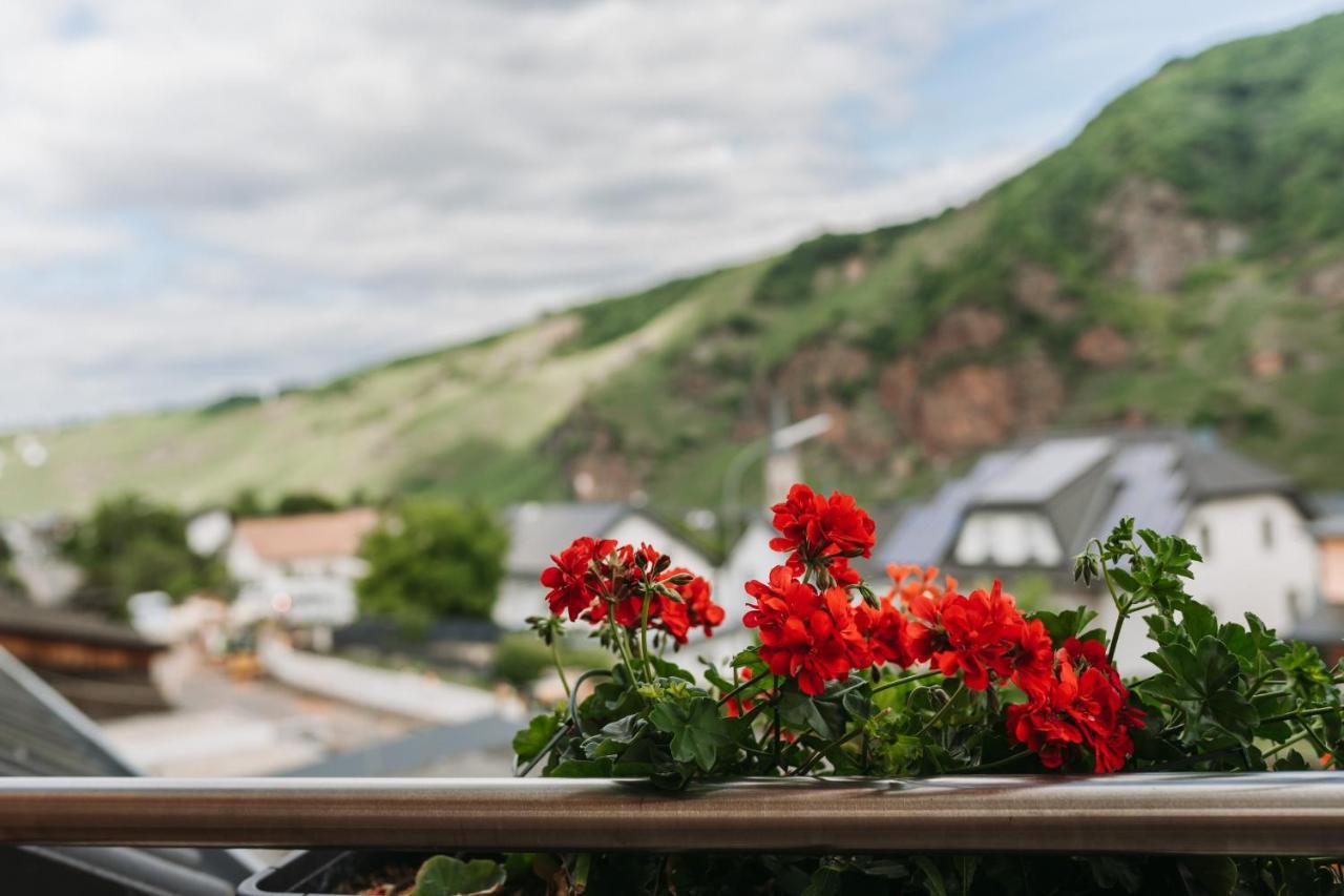 Wein- Und Gaestehaus Schwaab&Sohn Erden Esterno foto